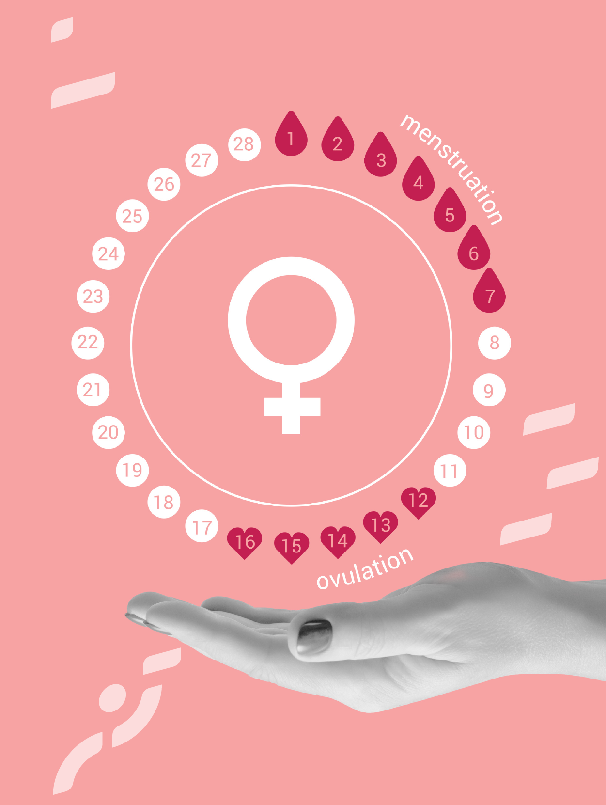 When You Realize It’s Time to Learn Again