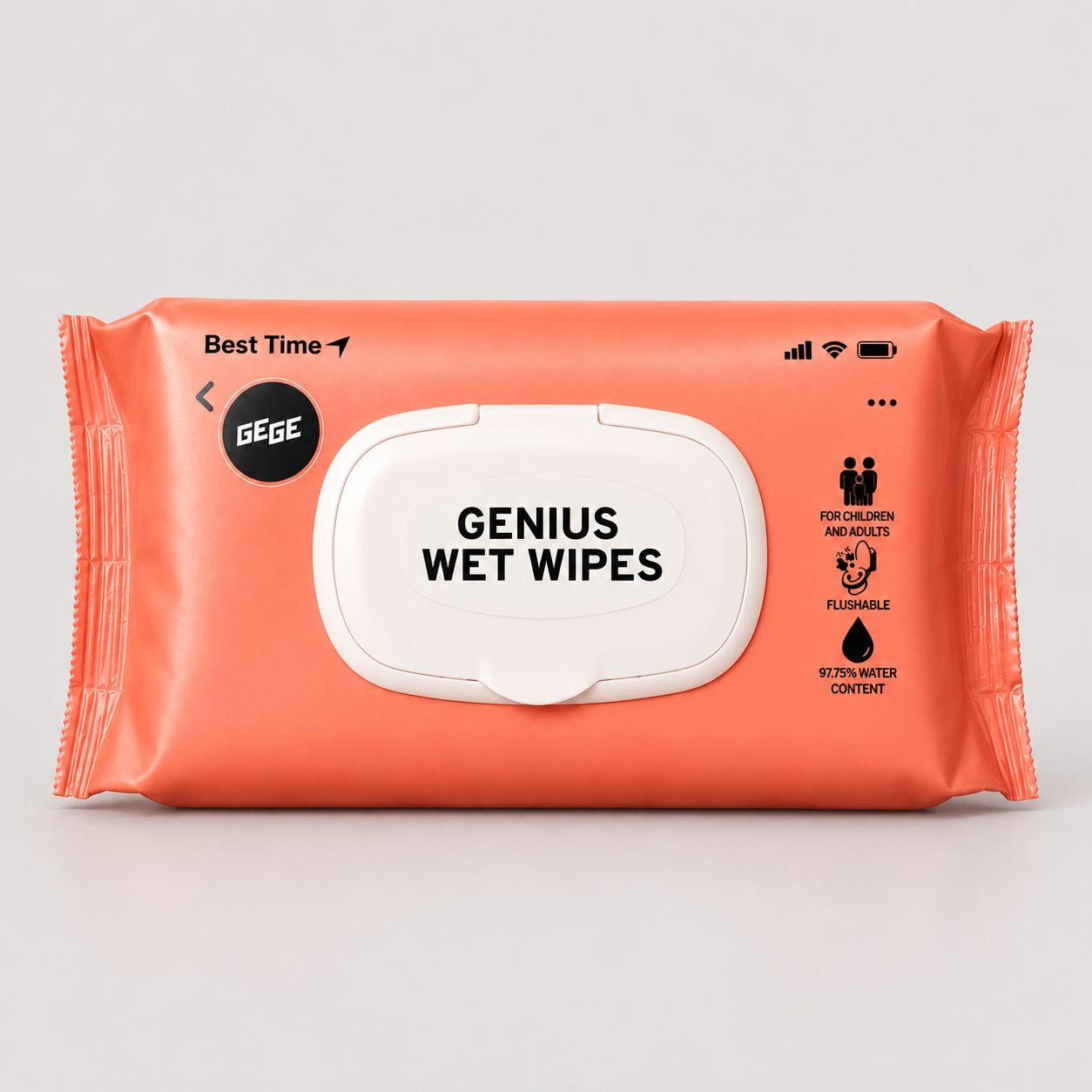 WET WIPES