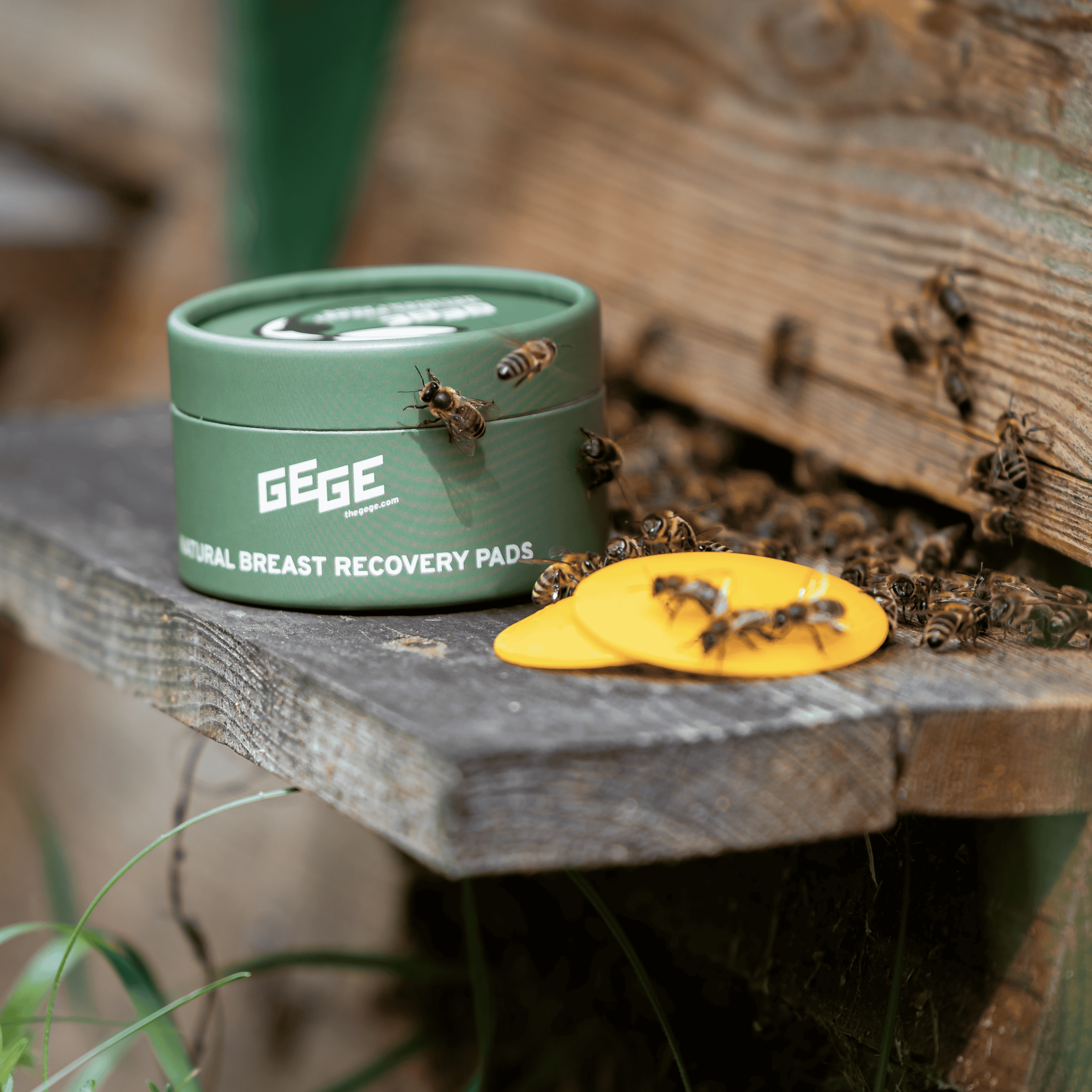 NATURAL BREAST RECOVERY PADS