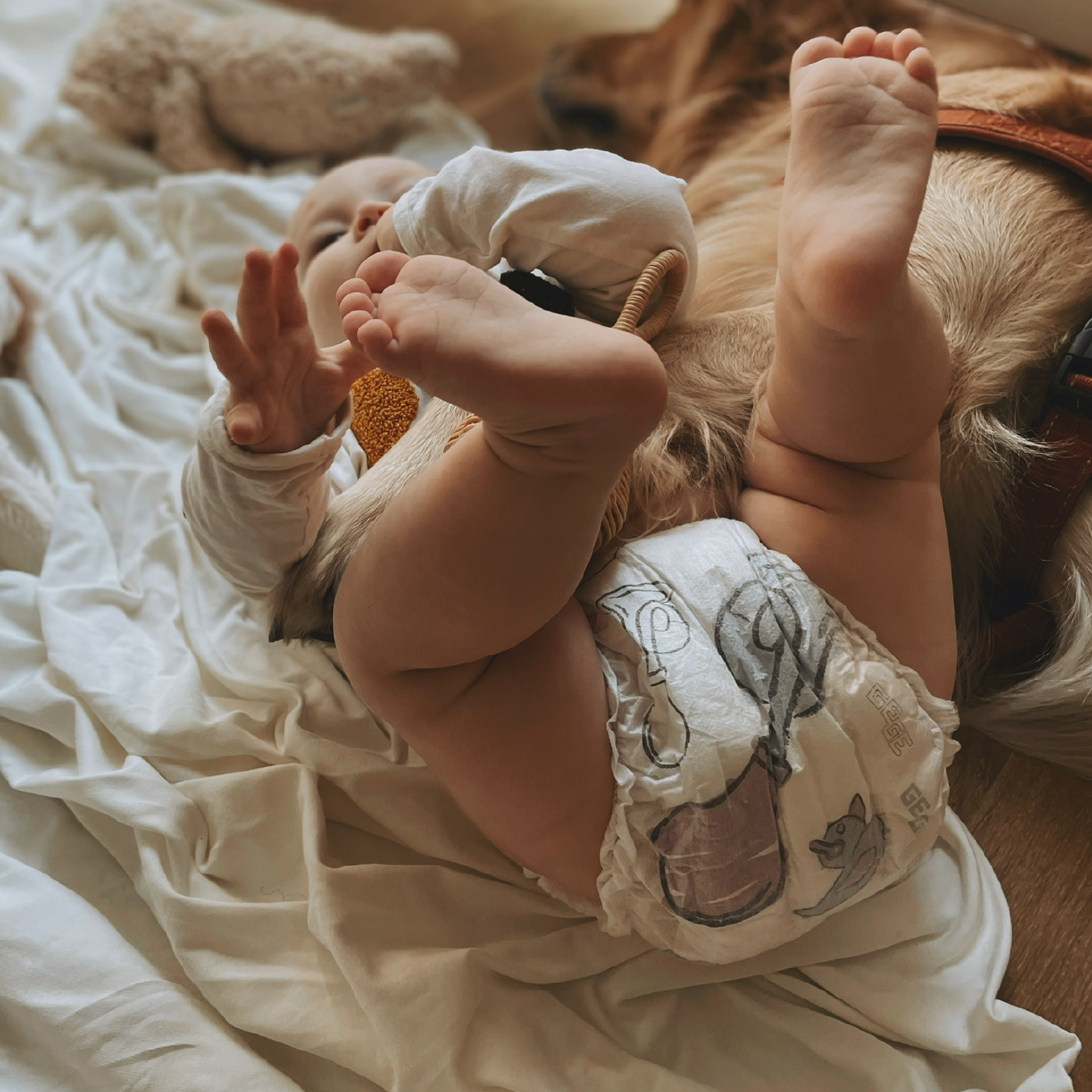 Boîte d'échantillons gratuits DIAPERS