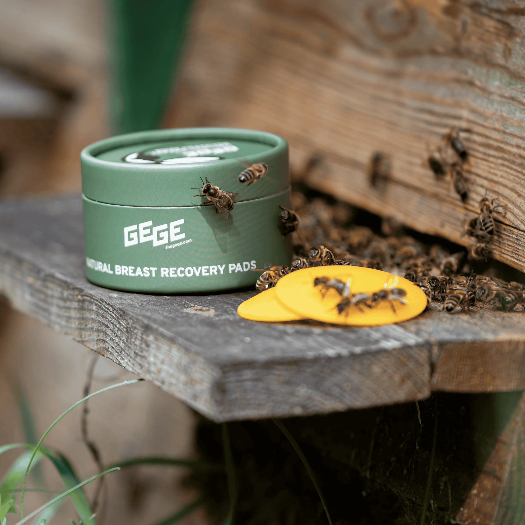 NATUURLIJKE PADS VOOR HERSTEL VAN DE BORST